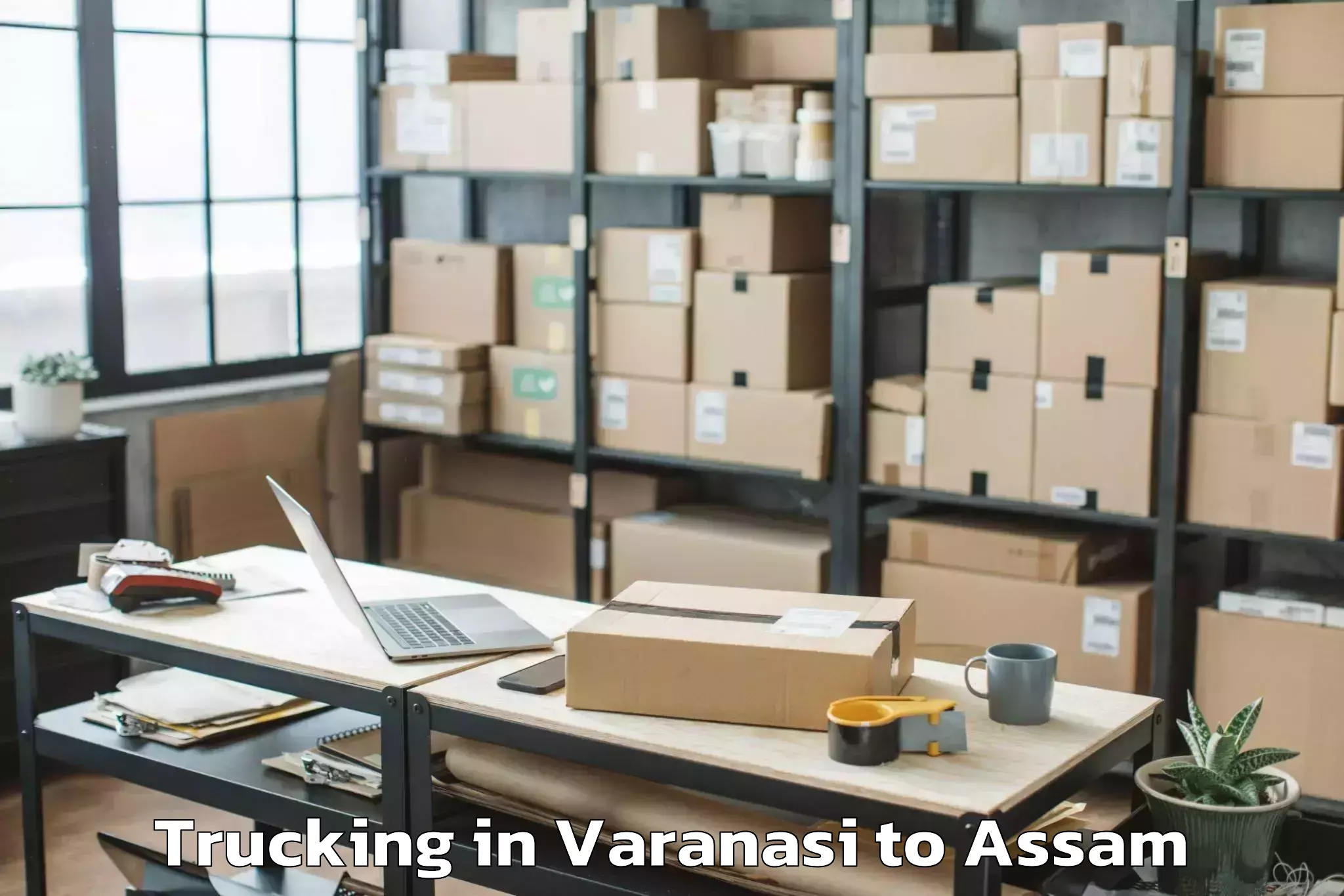 Book Varanasi to Agomani Trucking Online